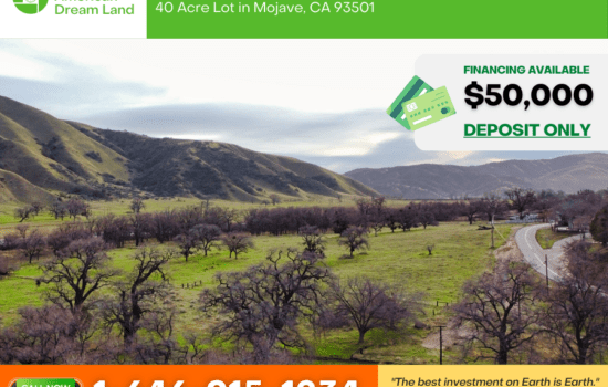 50.79 Acres Lot in Lebec, CA! Perfect building your dream home(s) / ranch(s) with spectacular views