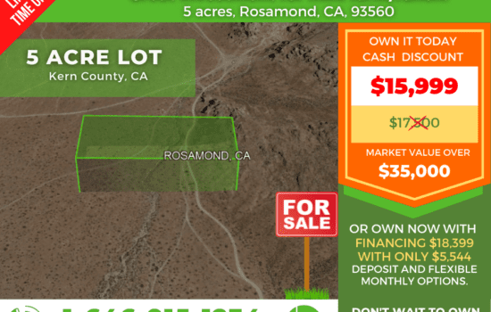 50% BELOW MARKET VALUE! Great Investment for mini farm/ranch! Perfect for long-term investment with market value over $35,000