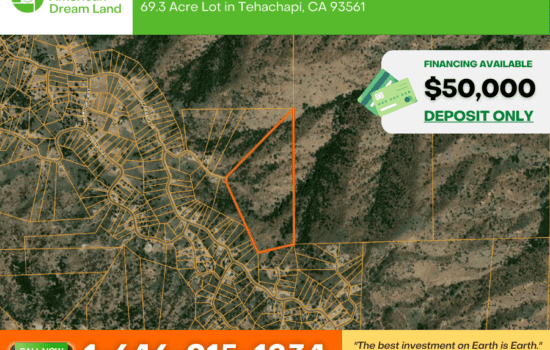 Below Market Price Lot in Tehachapi, CA! Perfect for making a long-term investment