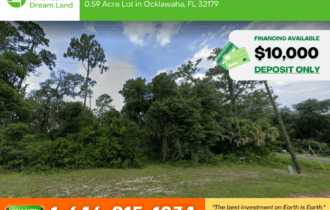 0.59 Acre Lot for Sale in Ocklawaha, Florida