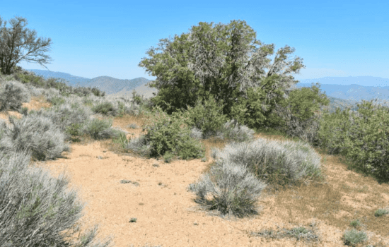 3.72-acre lot With Beautiful Mountain Views in Tehachapi, CA!