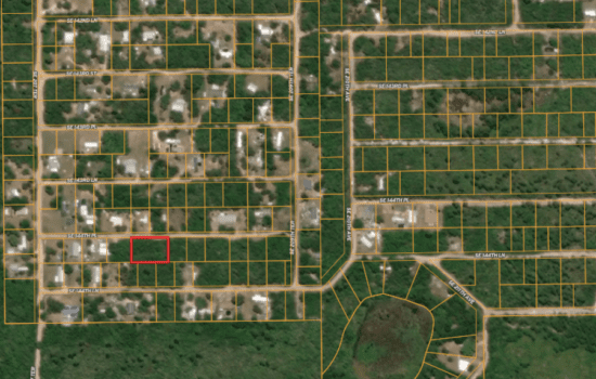 0.37-Acre Residential Lot in Beautiful Florida,32784!