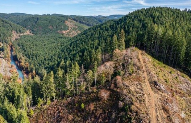 land for sale in Douglas County